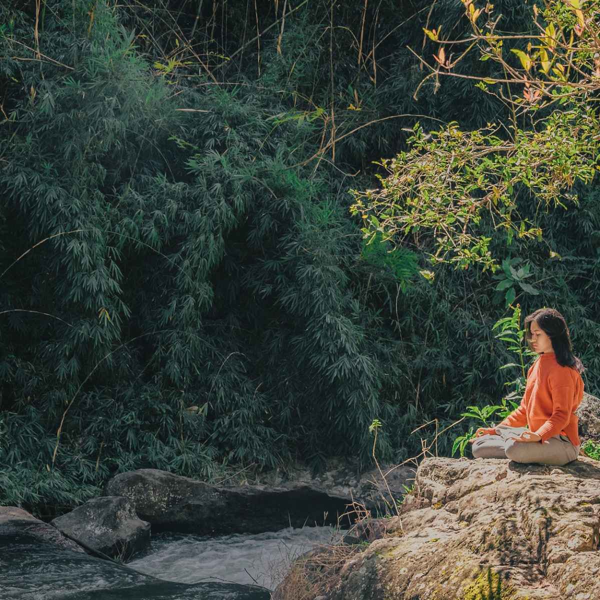 Yamas – Brahmacharya